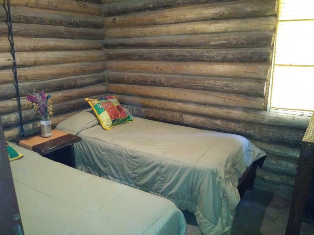 הוילה מנדוזה Cabanas Alto Bermejo מראה חיצוני תמונה