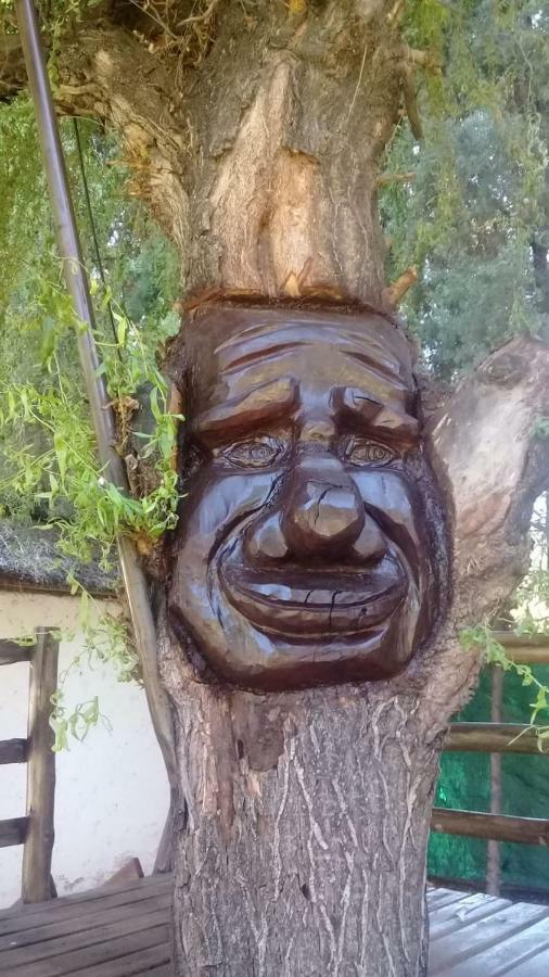 הוילה מנדוזה Cabanas Alto Bermejo מראה חיצוני תמונה
