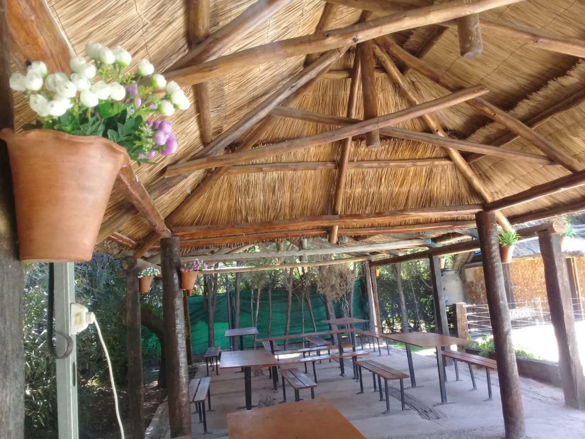 הוילה מנדוזה Cabanas Alto Bermejo מראה חיצוני תמונה